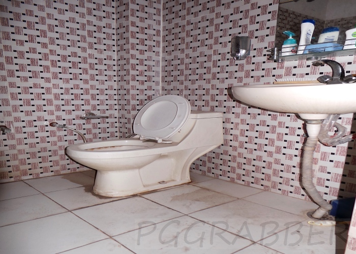 ANANT PLAZA PG 5